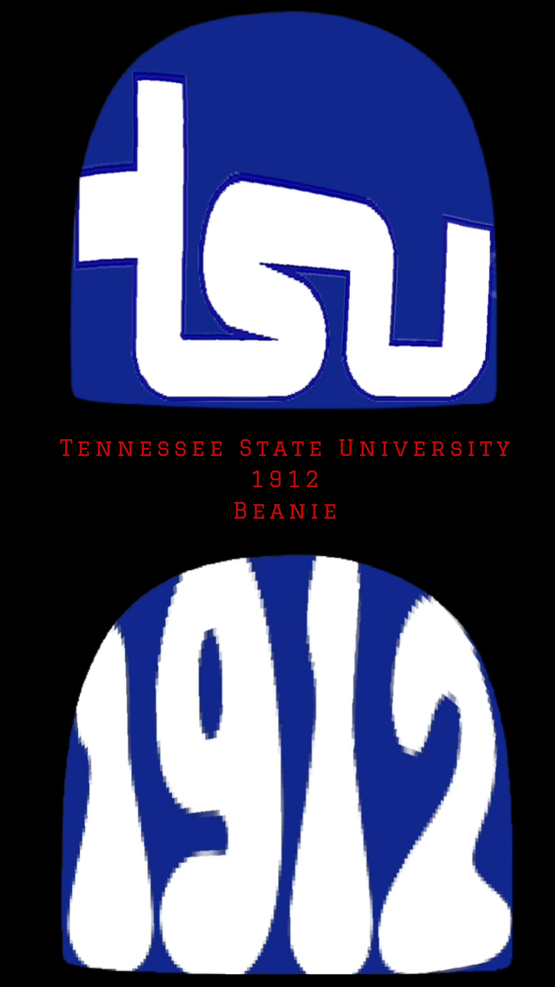 Tennessee State University