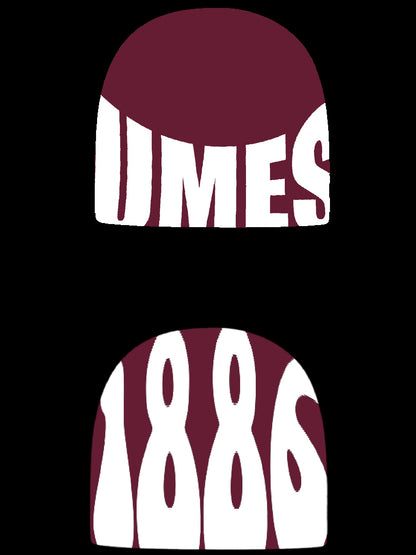 HBCU Beanies